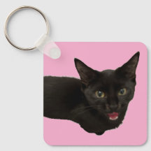Baby Zina - llavero de gato negro lindo