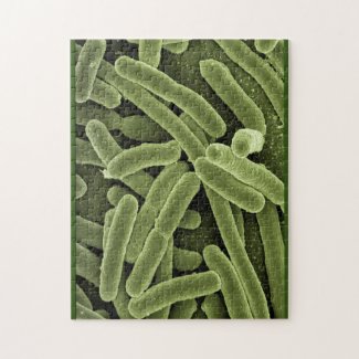 Bacteria puzzle e.coli microscopio