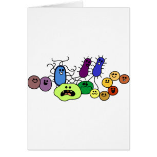 Bacterias