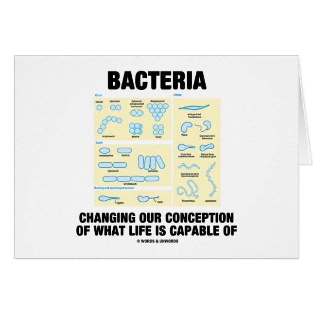 Bacterias que cambian nuestro concepto es qué vida (Anverso (Horizontal))