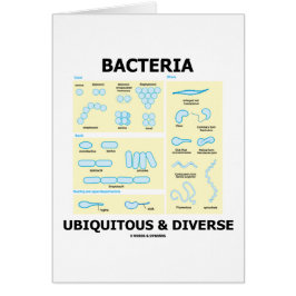 Bacterias ubicuas y diversas (formas y tamaños)