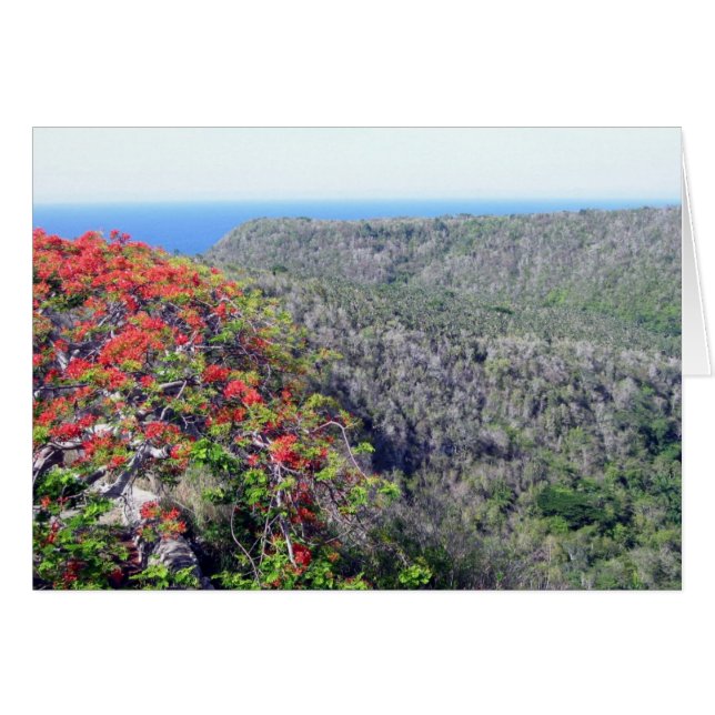 bacunayagua del valle (Anverso (Horizontal))