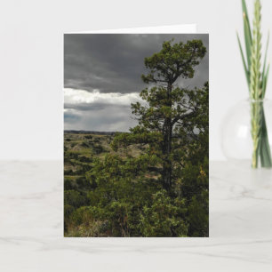 Badlands y tarjeta de nota tempestuosos del árbol