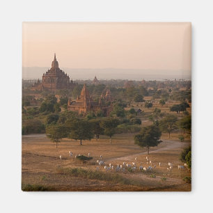 Bagan en el imán de la oscuridad