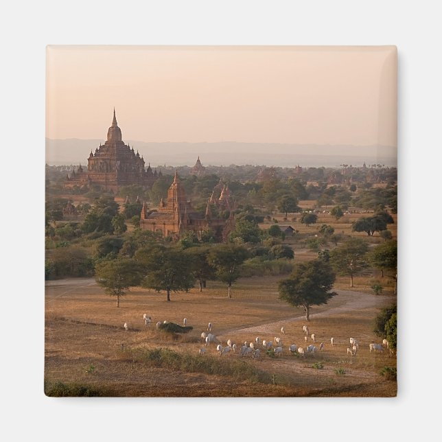 Bagan en el imán Dusk (Frente)