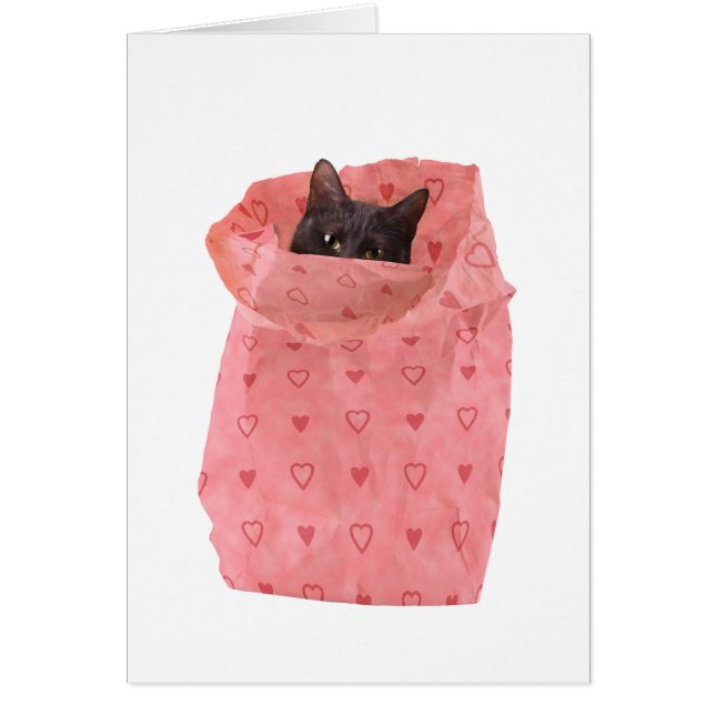 Bagful of Love (Frente)