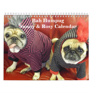 Bah calendario soleado y atractivo 2016 de Humpug