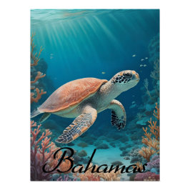 Bahamas Sea Turtle Travel Poster