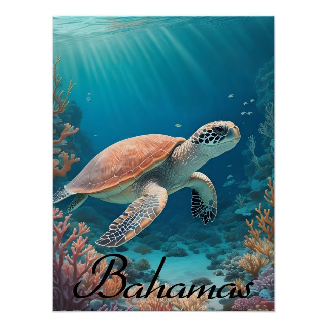 Bahamas Sea Turtle Travel Poster (Anverso)