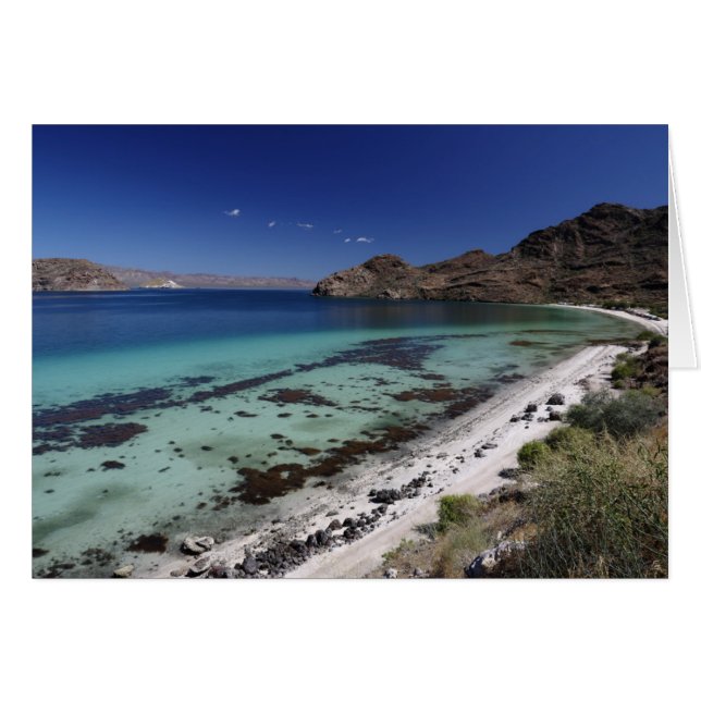 Bahía Baja Concepción (Anverso (Horizontal))