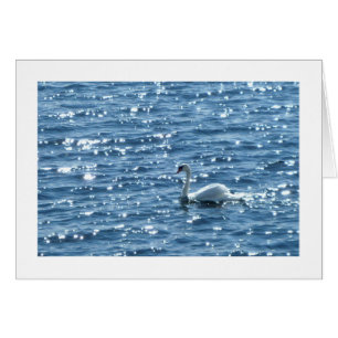 Bahía de Cardiff, Cardiff, Gales