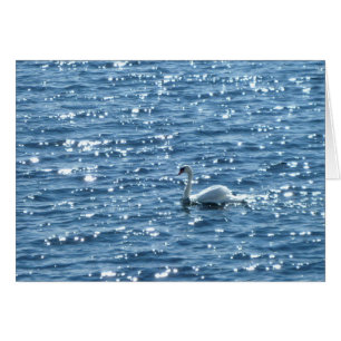 Bahía de Cardiff, Cardiff, Gales