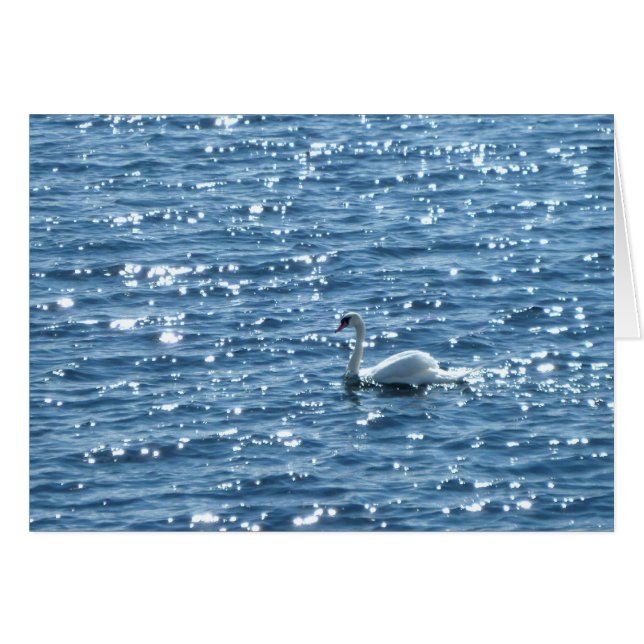 Bahía de Cardiff, Cardiff, Gales (Anverso (Horizontal))