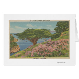 Bahía de Carmel, CA - vista del árbol del "viejo