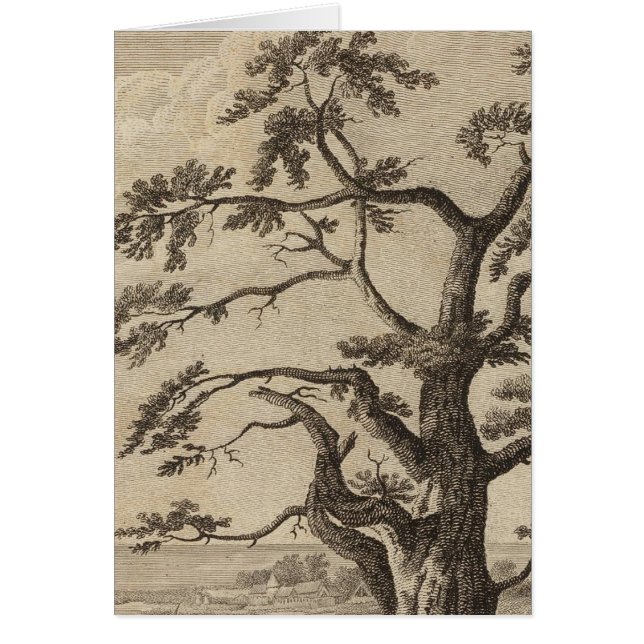 Bahía de Matavia, Otaheite, Tahití (Frente)