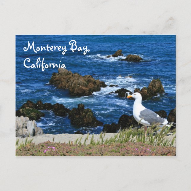 Bahía de Monterey, postal (Anverso)