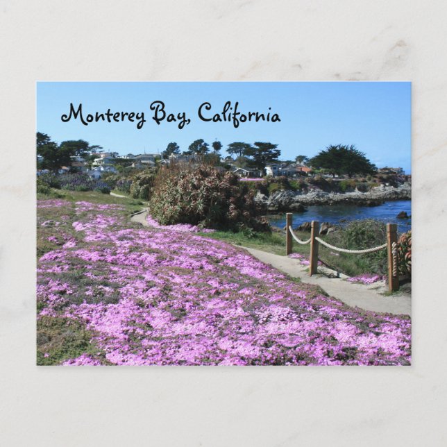 Bahía de Monterey, postal de California (Anverso)
