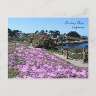 Bahía de Monterey, postal de primavera