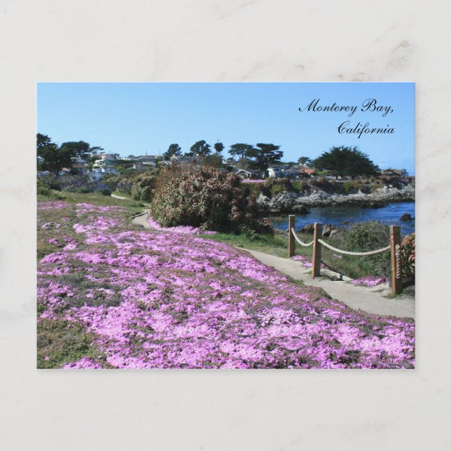 Bahía de Monterey, postal de primavera (Anverso)