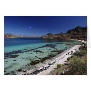 Bahía del concepto de Baja