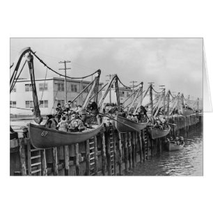 Bahía del Sheepshead