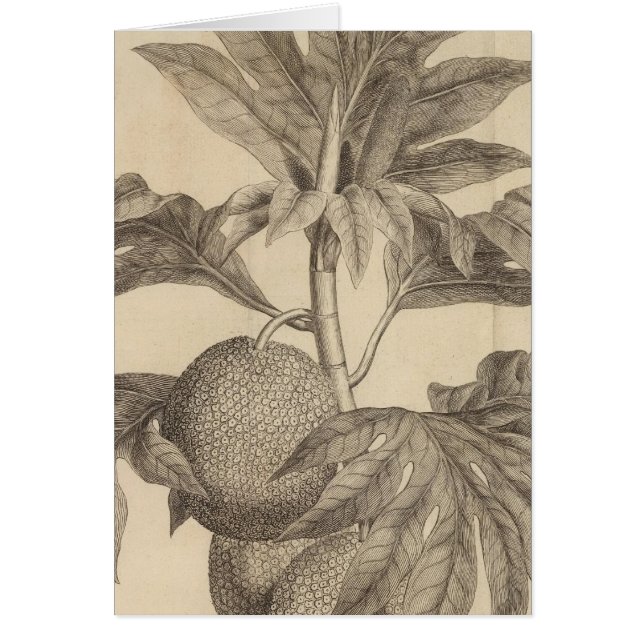 Bahía Matavia, Tahití (Frente)