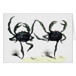 Baile de cangrejo tango lindo cangrejos de playa v