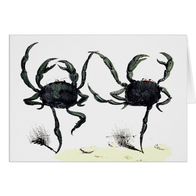 Baile de cangrejo tango lindo cangrejos de playa v (Anverso (Horizontal))