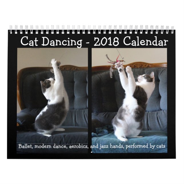 Baile del gato - calendario 2018 (Tapa)