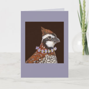 Bailey la tarjeta bobwhite