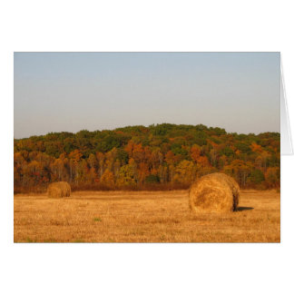 Bails of Hay