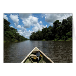 Bajando en bote por la Amazonía