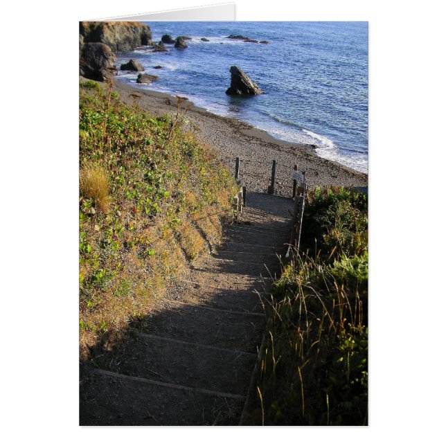 Bajar a la roca del tiburón (Frente)