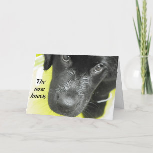 Baje pronto tarjeta de felicitación de pipa