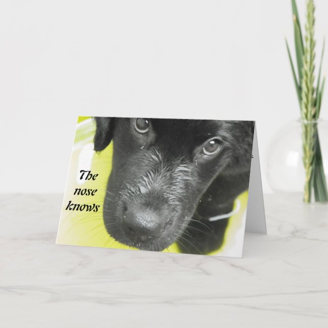 Baje pronto tarjeta de felicitación de pipa (Anverso)