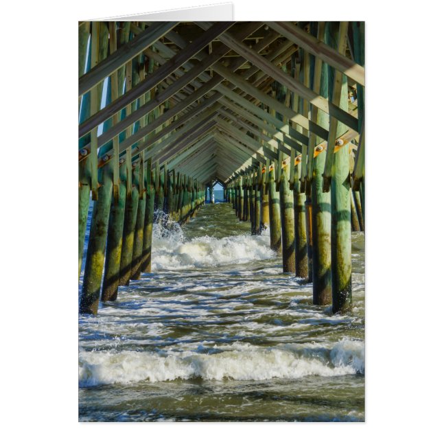 Bajo el muelle de Folly Beach (Frente)