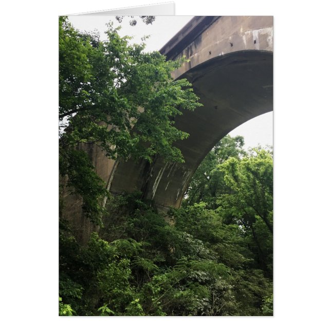 bajo el puente (Frente)