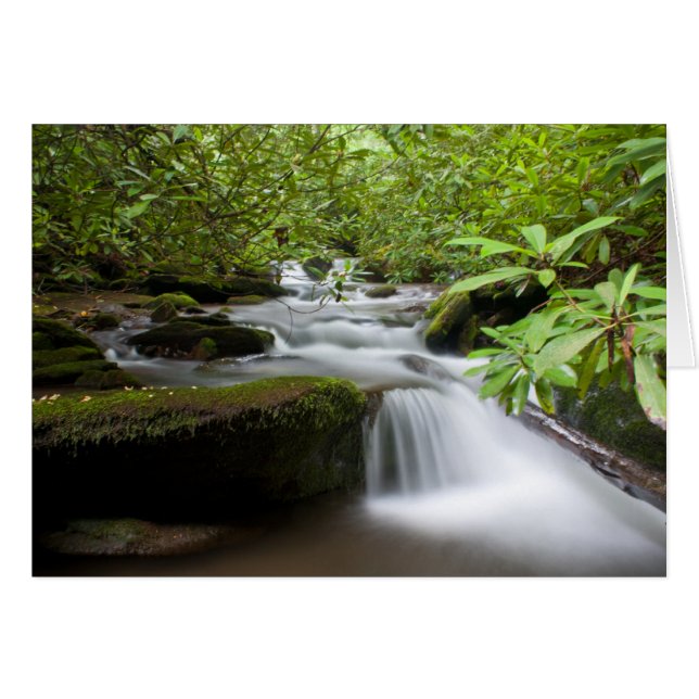 Bajo la carta de los rododendros (Anverso (Horizontal))