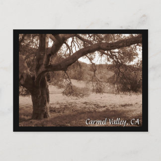 Bajo la postal de Oaks