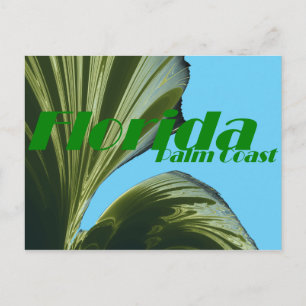 Bajo la tarjeta postal del árbol de palmas