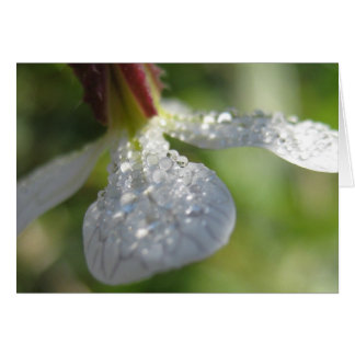 Bajo mi tarjeta de paraguas