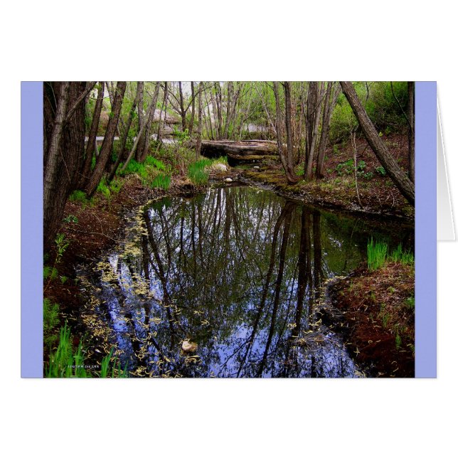 Bajo tarjeta de vidrio (Anverso (Horizontal))