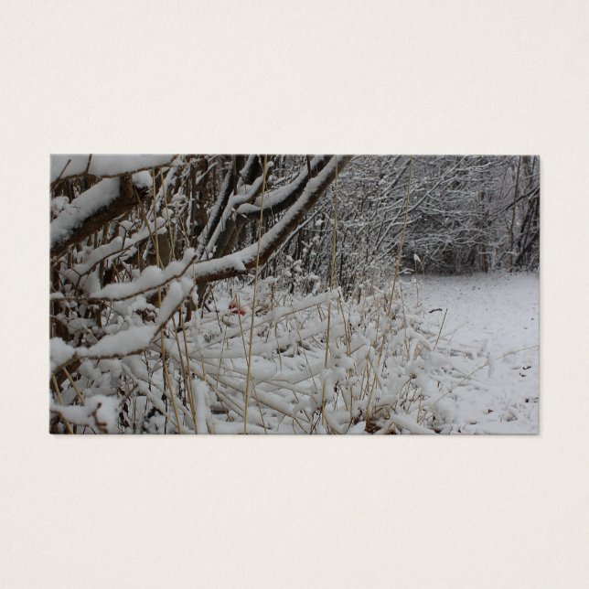 Bajo una manta de nieve (Frente)