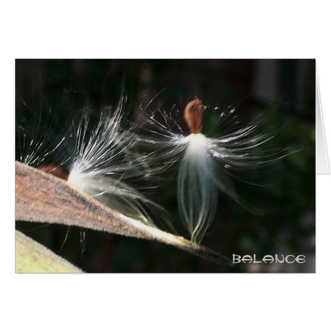 Balanza (Anverso (Horizontal))