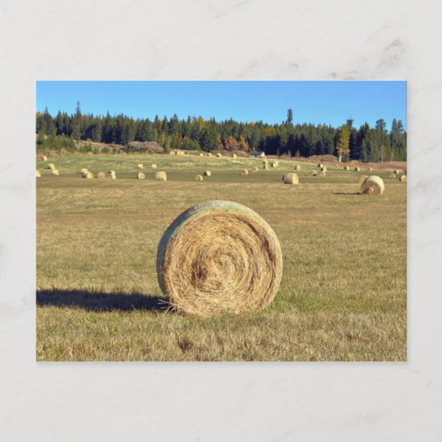 Balas de heno en la postal de la granja (Anverso)