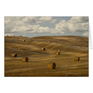 Balas de heno y paisaje rodante, Toscana (Italia)
