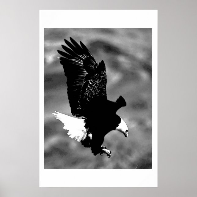 Bald American Eagle Poster Print BW Eagles Posters (Frente)