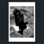 Bald American Eagle Poster Print BW Eagles Posters<br><div class="desc">Freedom & Courage Motivational  Eagles Images Landing Eagle Poster Print - Black & White Eagles in Flight Posters</div>