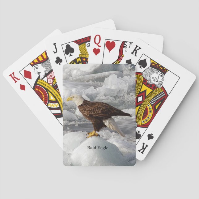 Bald Eagle jugando cartas (Reverso)