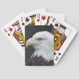 Bald Eagle Jugando Cartas América Estados Unidos